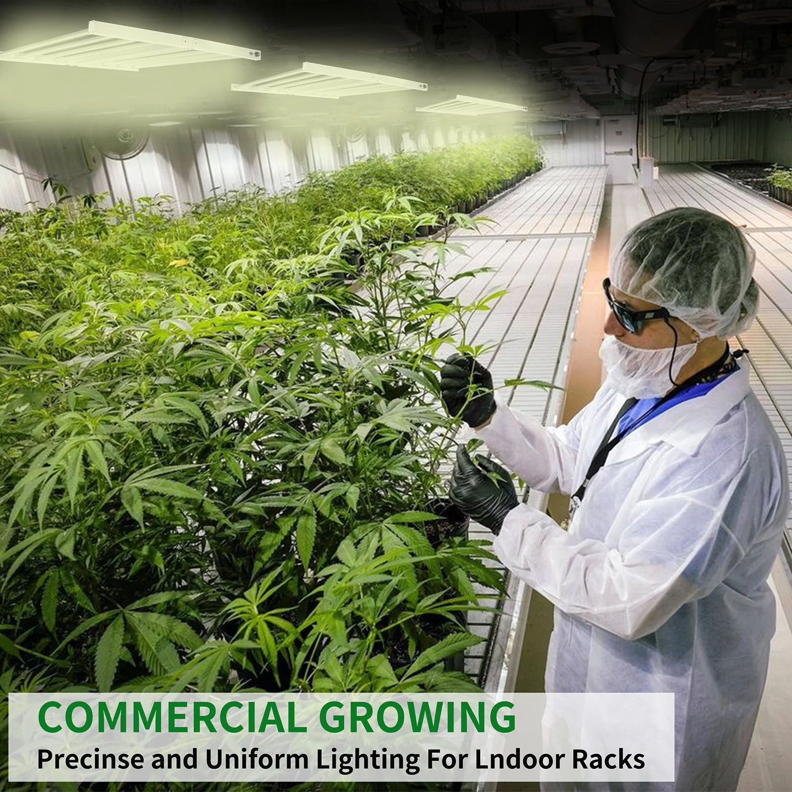 Full Spectrum  320 watt 480 watt 640 watt 1000 watt  1200 watt  Fold  Led Grow plant Light