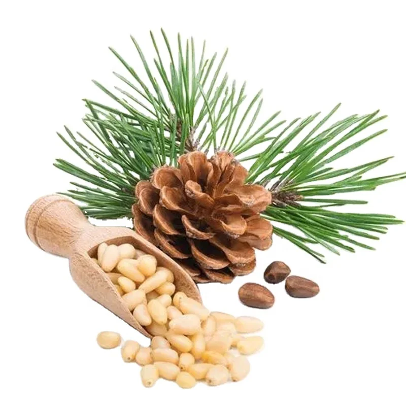 China Speciality Pine Nut Kernels As Food And Ingredient For Wholesale
