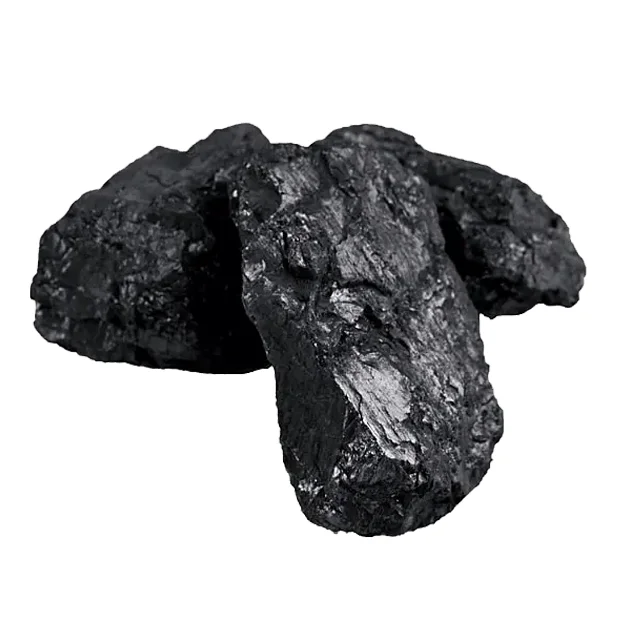 Bulk Purchase High Grade Best Price Pure Steam Coal GAR 6200 Kcal/Kg And Natural Premium Quality Coal from Indonesian