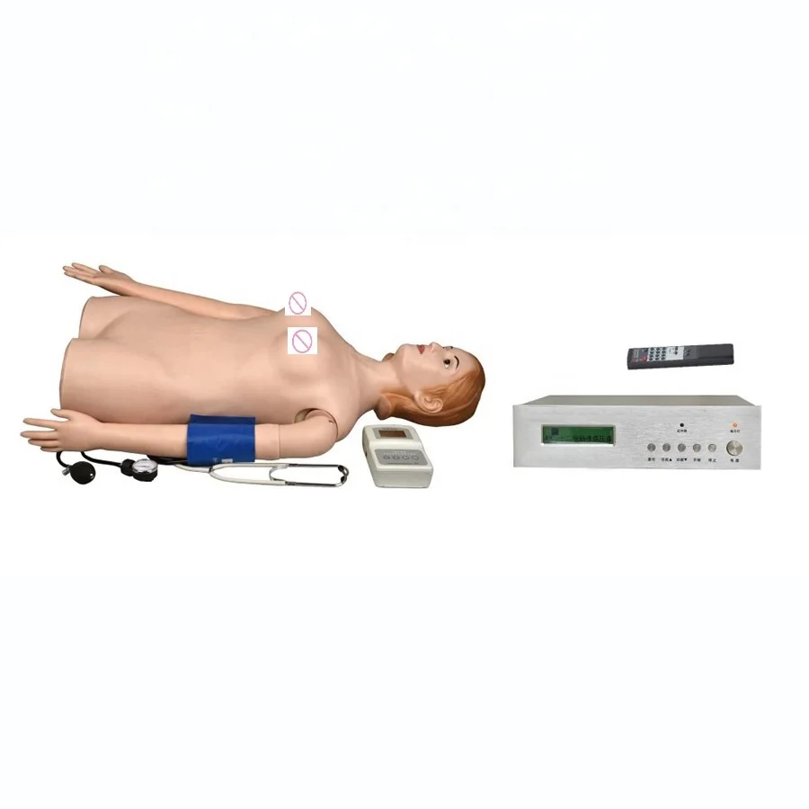 Simulation of Female Abdominal Palpation Blood Pressure Measurement, Abdominal Palpation Simulator