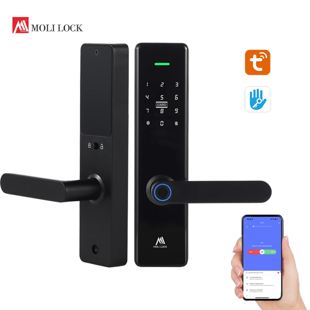 Home Apartment Electronic Tuya Video Voice Smart Lock With Code Fingerprint