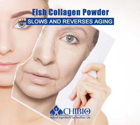 100% чистый морской Тилапия, Рыбий коллаген, пептидный порошок с AMW 1500Da для ухода за кожей, маска для глаз