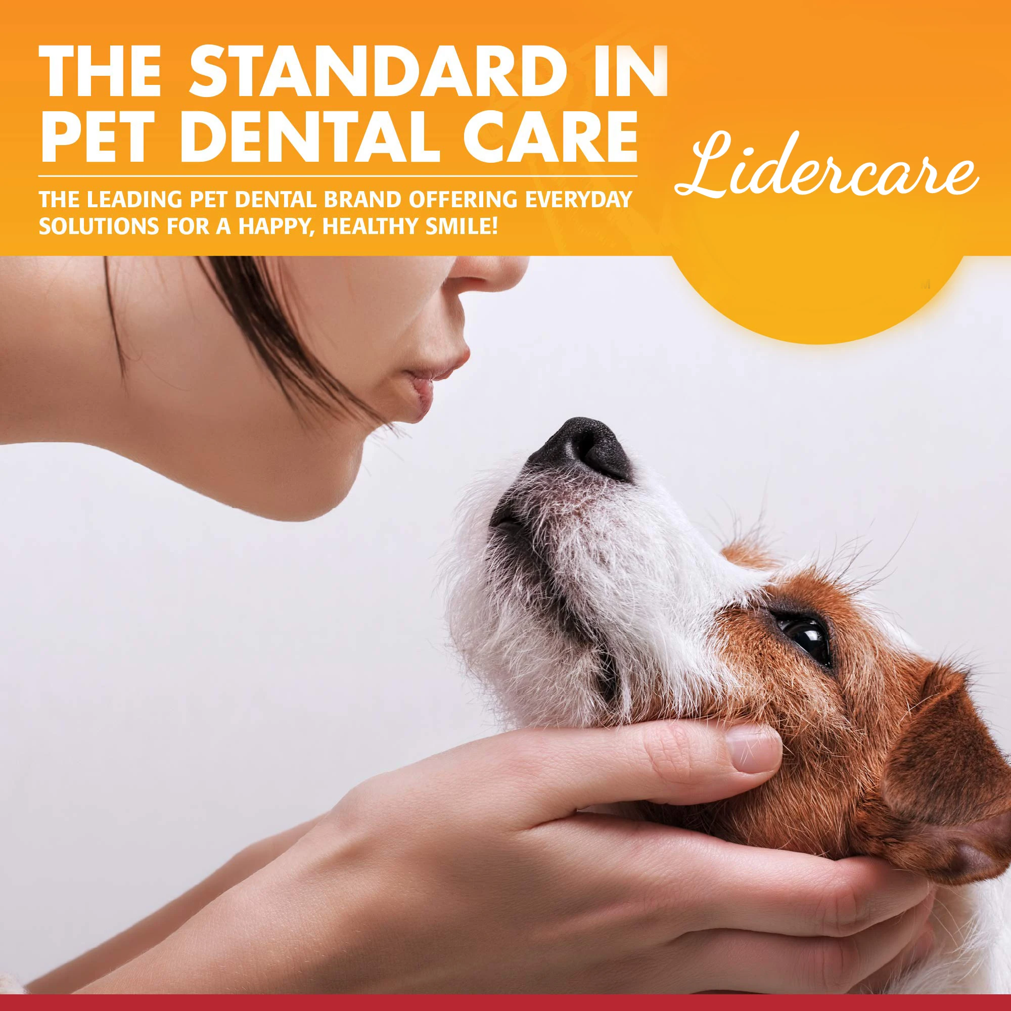 Professional Veterinary Recommendation Organic Dog Toothpaste For Pet Fresh Breath Remove Odors Pets Toothpaste