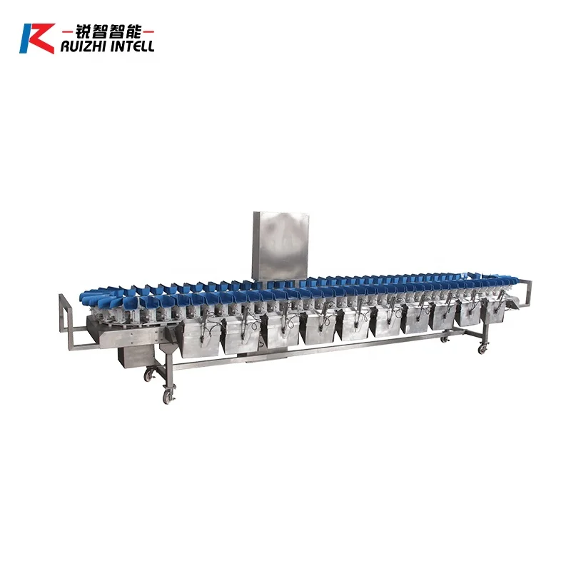 Chicken Product Shrimp Sorter for Fish Accurate Automatic Weight Sorting Machine Meat Processing Machinery Weigh Grading Machine