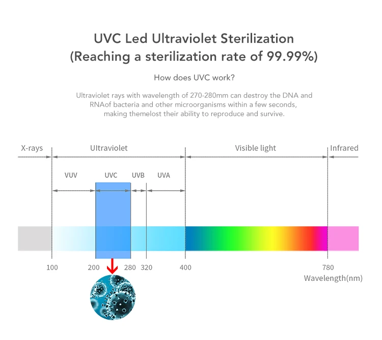 Portable Air Purifier (3).jpg
