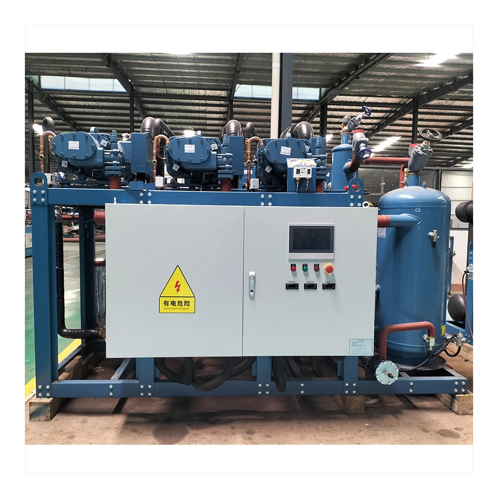 Poultry freezer room refrigeration condensing unit cold storage screw compressor condensing unit