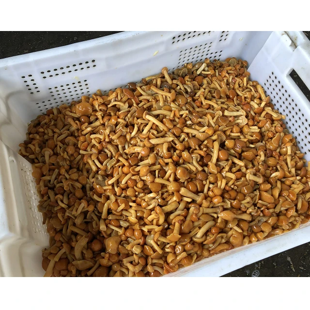  Распродажа nameko в барабане/nameko рассоле/часто задаваемые вопросы
