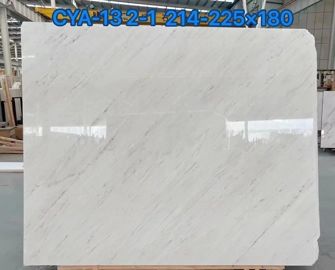 Polished Sivec white Marble Wall Tile Obama Grey Eramosa Marble