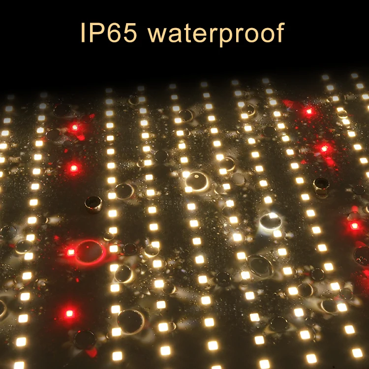 
2021 480W LM301H v4 with deep red CREE XPG3 660nm Grow light for indoor plants 