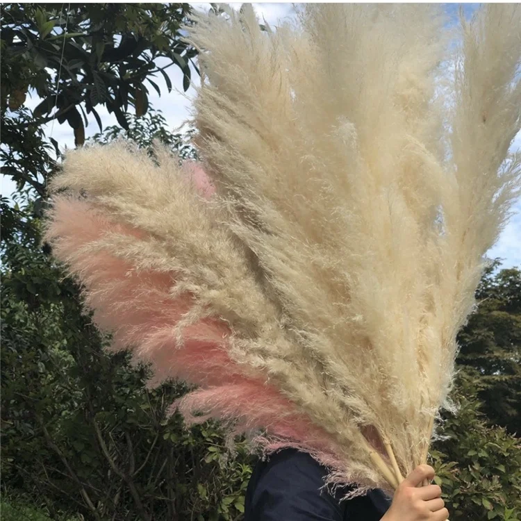 Z-3074 Fast Delivery Nordic Wind Flowerdesign 150CM Artificial Dried Pampas Grass For Wedding
