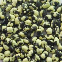 Yummy and Nutritious wasabi roasted coated black bean