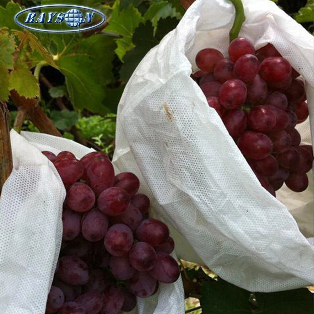 
Top Selling Products Nonwoven Agriculture Fruit Protection Bag Nonwoven Grape Bag  (60549959573)