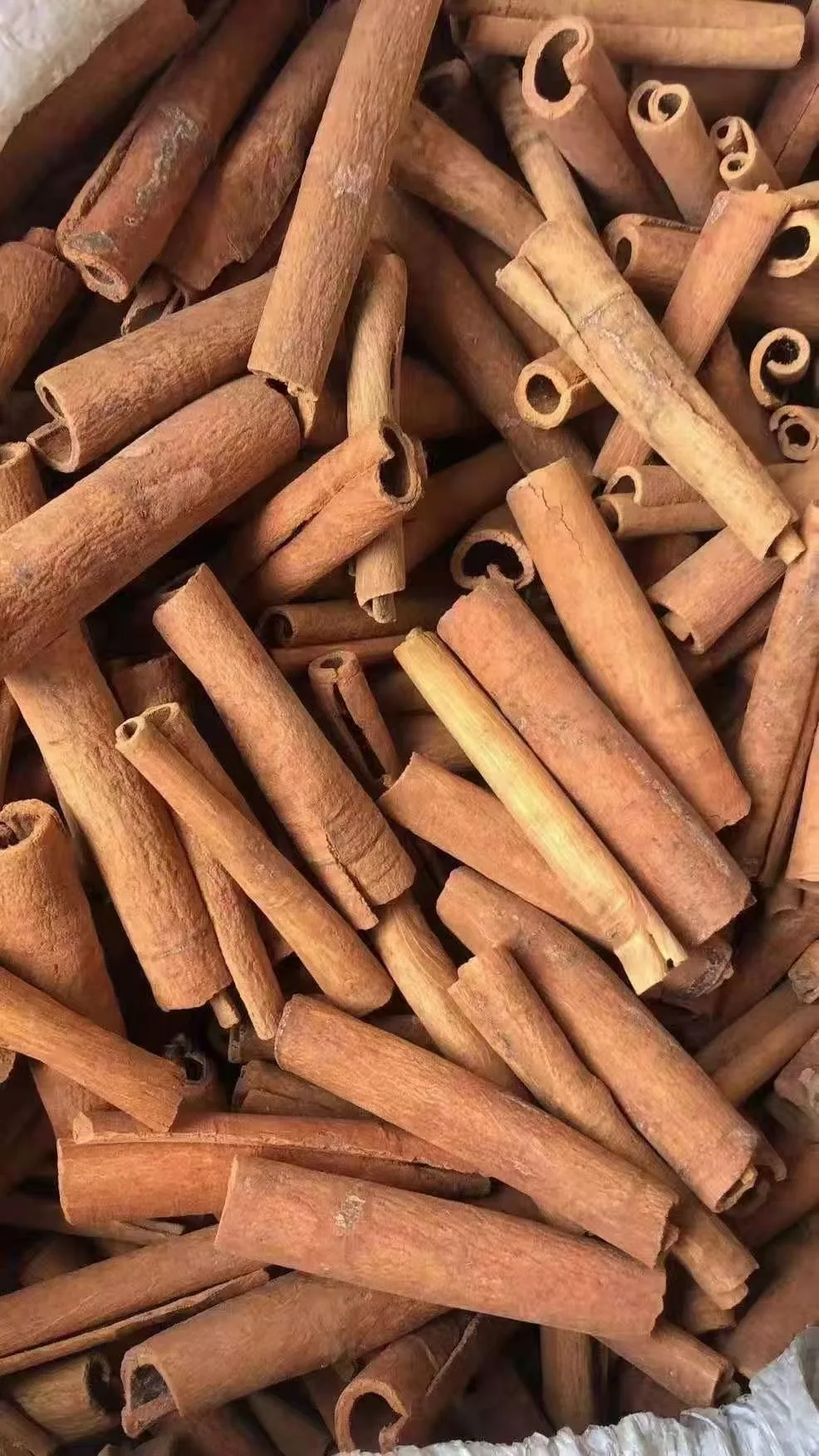 Wholesale Whole Cinnamon Stick