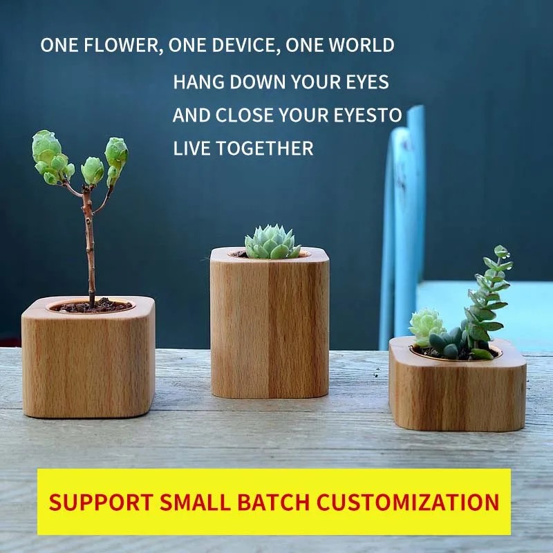 Custom logo size  handmade Creative Home Decoration wooden small flowerpot pure hand crafts