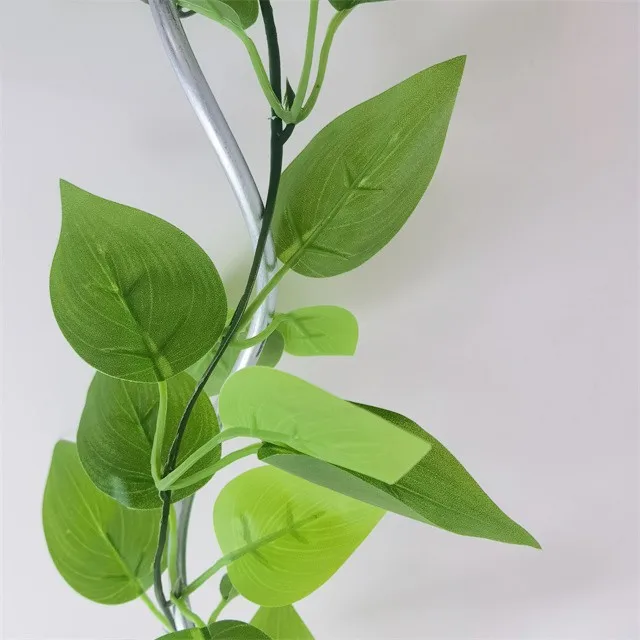 Hot selling high quality outdoor tomato support clips support for tomato plants