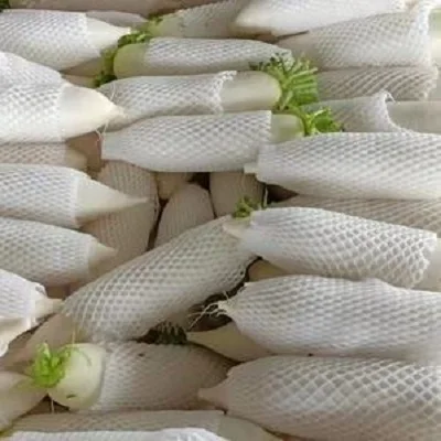 Wholesale Hot Sale Chinese Fresh Big White Radish high quality and competitive price radish