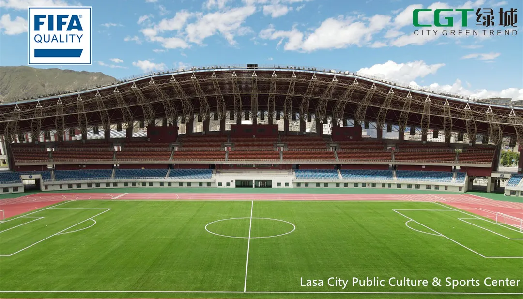 CGT China football field artificial turf suitable for school playground product