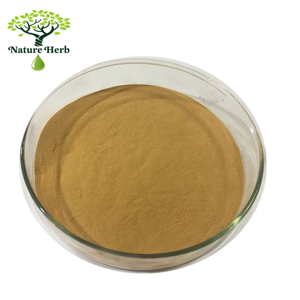 HOT SALE Kava Kava Root Extract Powder