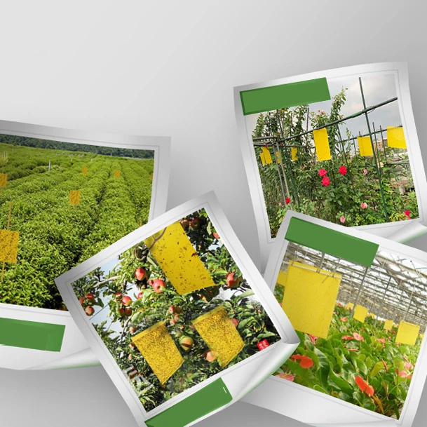 Eco friendly pest control yellow fly glue trap sticky insect traps for farm garden