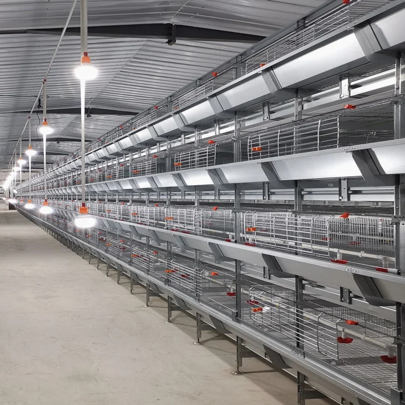 China good quality q235 steel galvanized wire mesh use for chicken birds poultry battery broiler cage