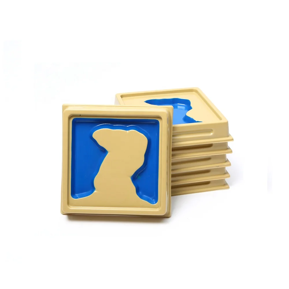 kids educational learning toys montessori land and water form tray for kindergarten