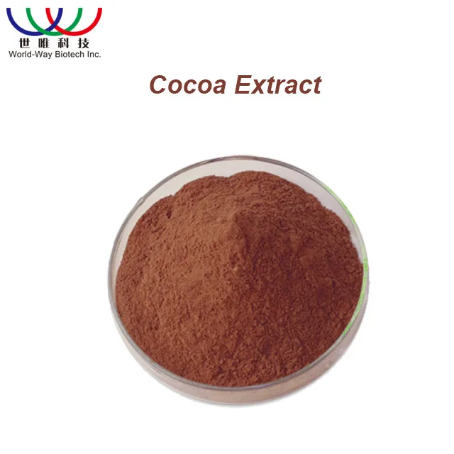 Top Grade Food Grade Pure Cocoa Seed Extract in Drum Packaging Pharmaceutical Active Herbal Ingredients Solvent Extraction
