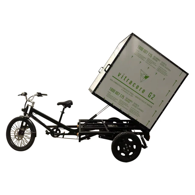 Ce approved electric tricycle cargo bike/velo cargo bicycle for sale in EU