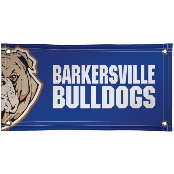 Customized Design PVC Advertise Flex Banner Roll Digital Printing Glossy/Matte  Banner Outdoor Promotion