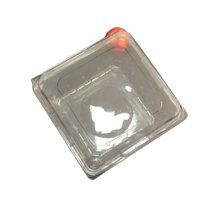 
China Factory Promotion fruit box plastic transparent cake box plastic plastic box for cake For Hot Sale 