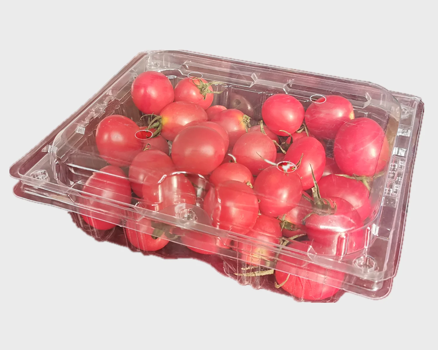 Compact Automatic Plastic PVC PET Thermoforming Machine / Semi-automatic vacuum forming machine