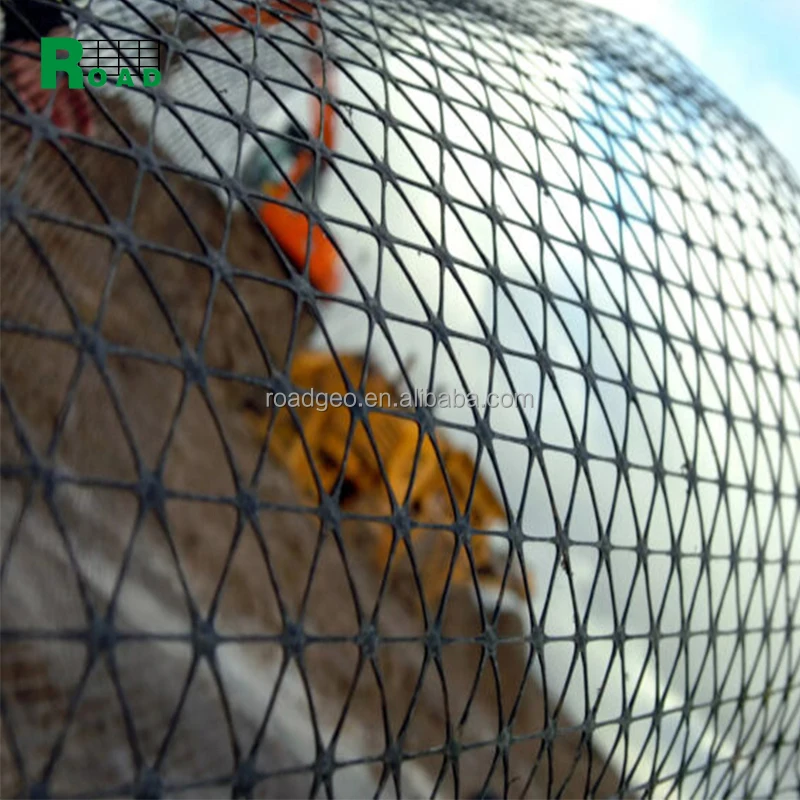 triaxial geogrid Reinforcement For Base Stabilization And Road Way Grille Geogrilles Triaxial Geogrid