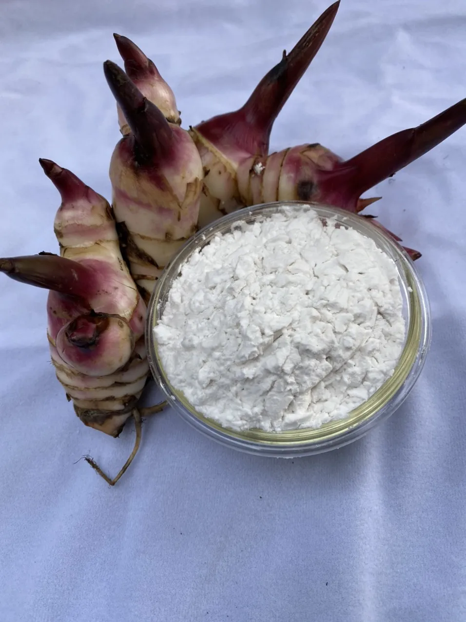 Arrowroot starch Flour White Powder Native type from