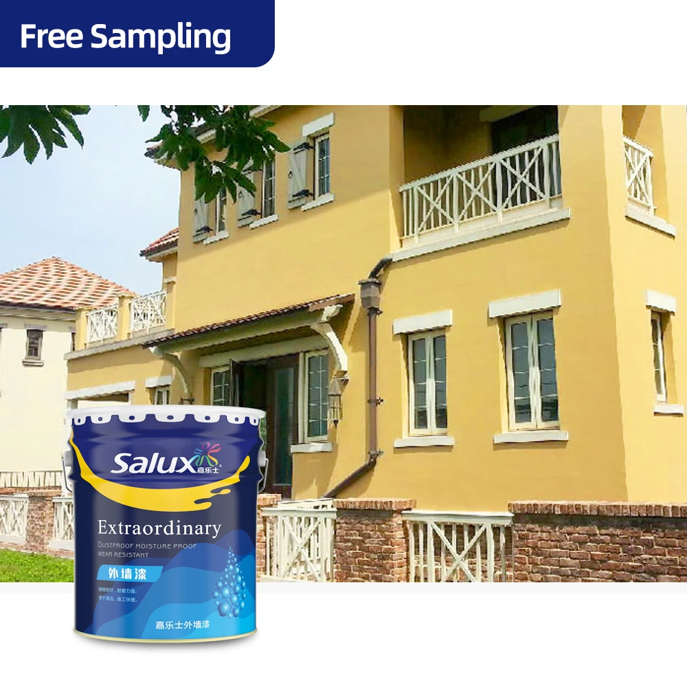 High Quality Interior Decorated Lacquer The Rooms White Colours Exterior Primer Vegan Latex Wall Paint