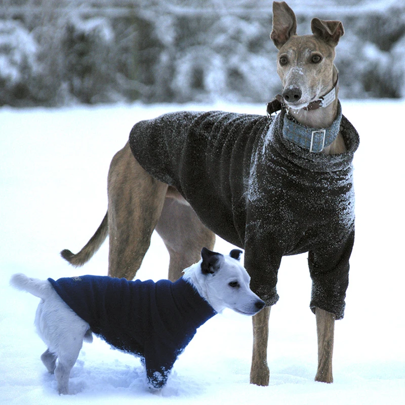 Fleece Jumpers for Dogs