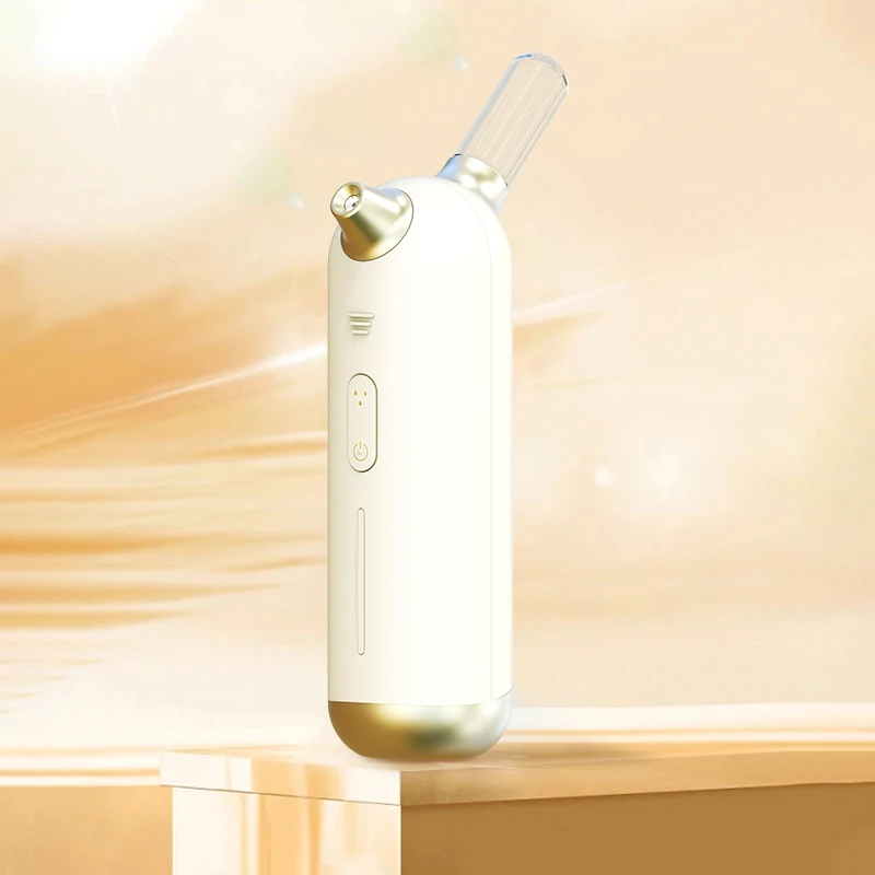 Nano Facial Mist Spray Skin Gun Water Replenishing Instrument Mini Hand Held Nano Spray