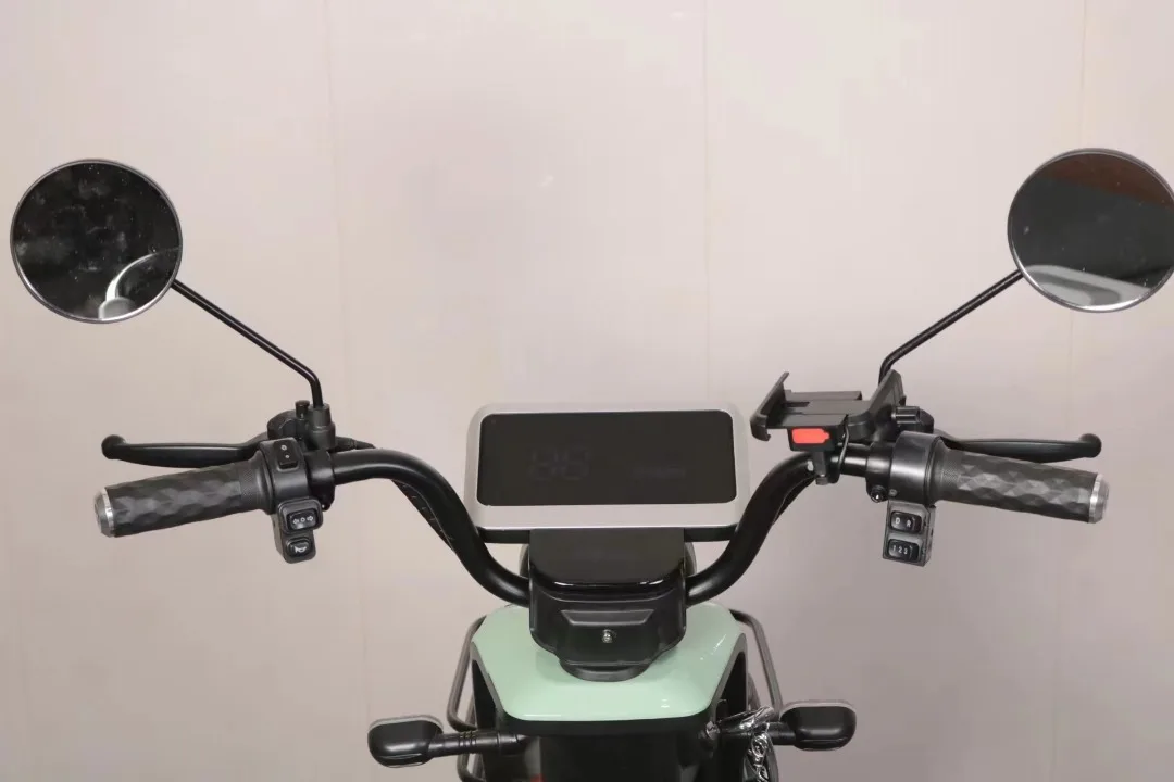 Parts 3 Wheel Passenger Disabled Fat Electric Tricycle New X3
