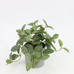 Simulate plastic decoration small bonsai artificial potted plants decoration 16cm Peperomia in melamine pot