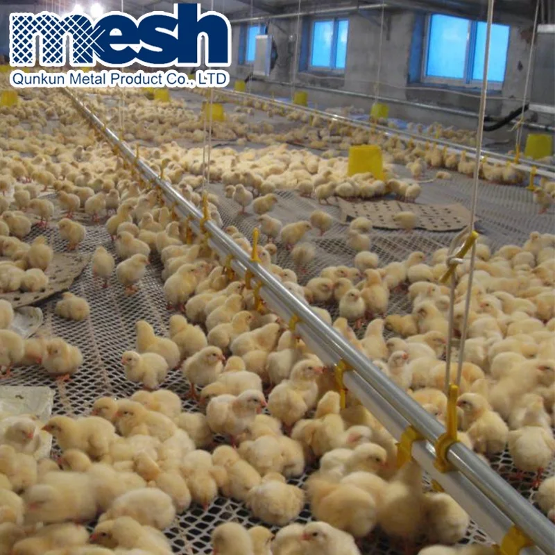 High Quality Square Plastic Mesh Factory