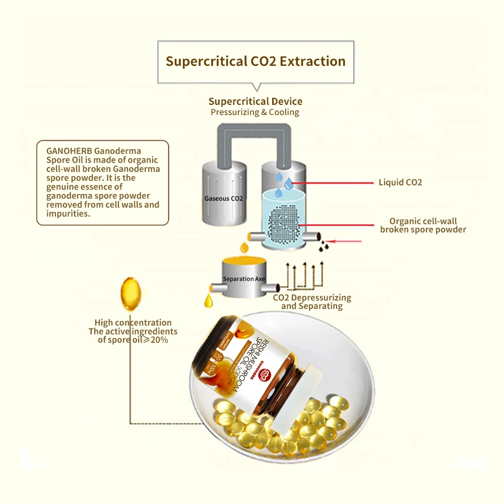 OEM Wholesale reishi mushroom lingzhi  herbal extract lucidum ganoderma lucidum  spore oil softgel capsule suplemento factory