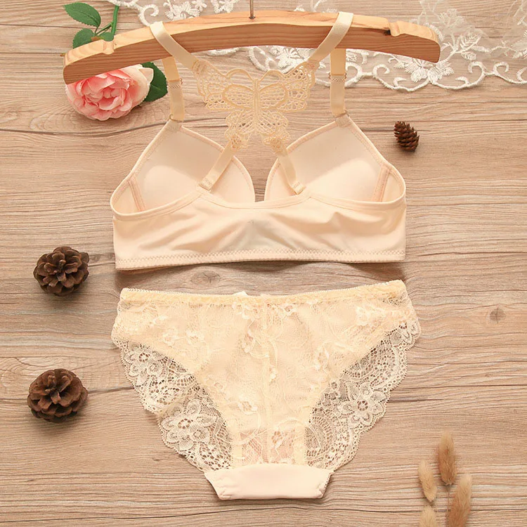 Back Front Closure Bras and Women Underwear Set Back Cross Butterfly Hot Selling Women Bra Set 4 Set 4 Color as Pictures Hipster