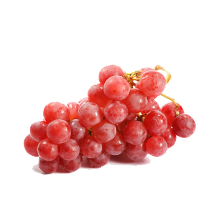 
Wholesale Box Style Storage Packaging Fresh Grapes Grapes Fruit Grapes Fresh 