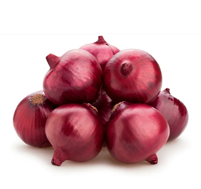 New crop fresh vegetables fresh red Holland onion with lower price from China onion supplier