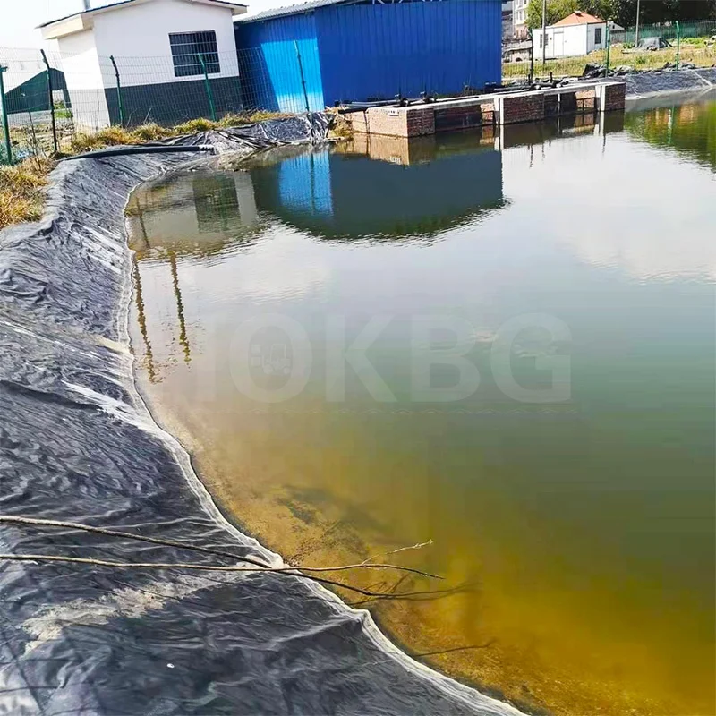 HOKBG Factory Geo Greenwall Geotextile Silt Curtain Geotechnical Fabric for pond