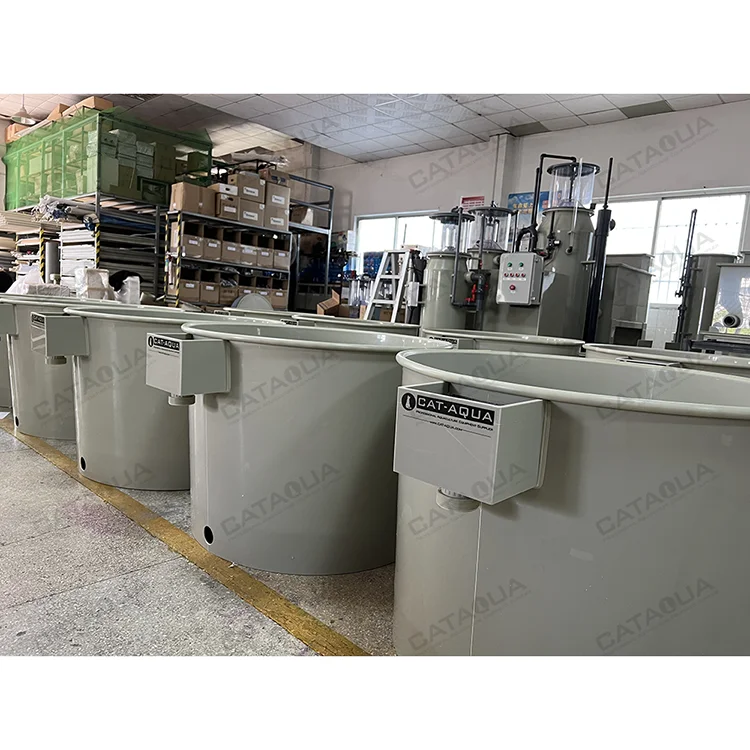 CATAQUA Hot Sale Indoor Fish Farm Recirculating Aquaculture System Equipment Mini Small Fish Farming Tank
