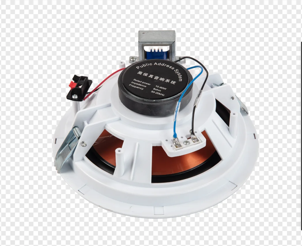 Amplifier Monoblock Full Range Cone Big Sub Woofer Outdoor 8 inch Surround Professional Passive Voice Coil Ev In- Amplifier