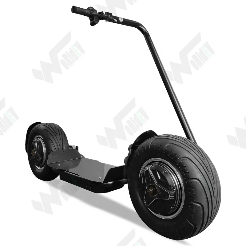 Electric Motorcycle Scooter with Dual Motor for Men with 60v Battery