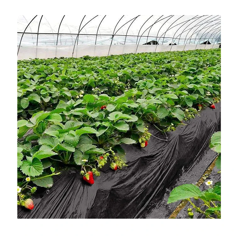 Sulzer looms Flat weaved Landscape Fabric Staple PP Weed Control Fabric Weed Control Mat