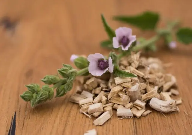 
Shu kui gen Marshmallow Root (Althaea officinalis) for sale 