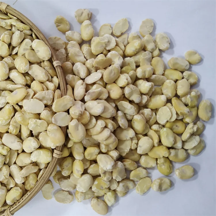 
Factory hot sell dried broad bean split peeled fava beans new crop 