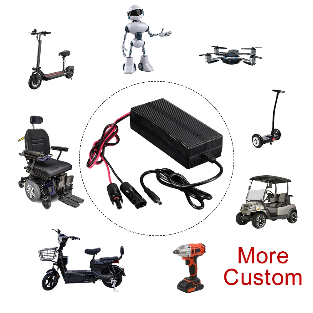 Portable 12V 24V 36V 48V 72V 2A 3A 4A 5A 6A 8A 10A Golf Cart Lifepo4 Rechargeable Lithium Ion Battery Charger